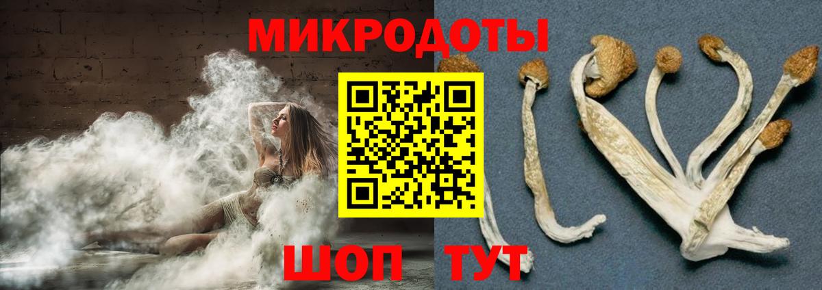 Галлюциногенные грибы Psilocybine cubensis  Псилоцибиновые грибы Magic Shrooms  Нижнеудинск  Вход с VPN 